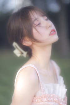 艳冠群芳